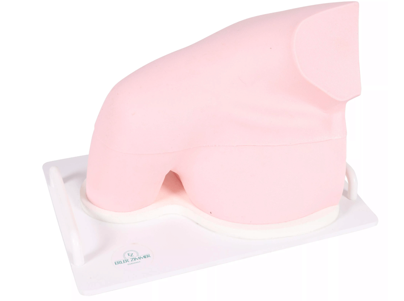 Ultraschall – Übungsmodell Schulter - Erler - Zimmer